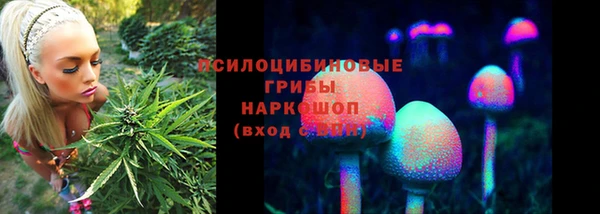 прущий лед Рославль