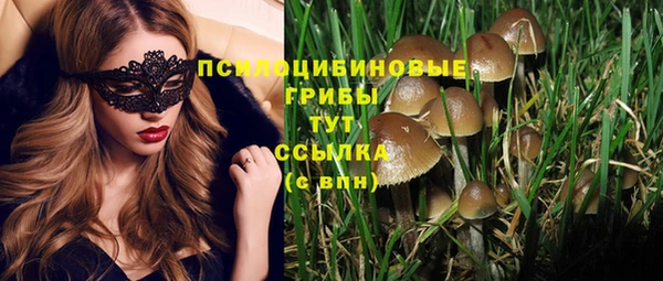 ПСИЛОЦИБИНОВЫЕ ГРИБЫ Алзамай