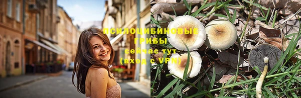 ПСИЛОЦИБИНОВЫЕ ГРИБЫ Алзамай