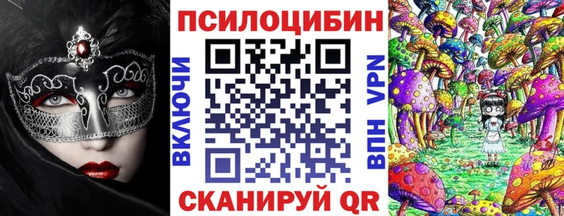 KRAKEN ссылки  Дно  Псилоцибиновые грибы Magic Shrooms 
